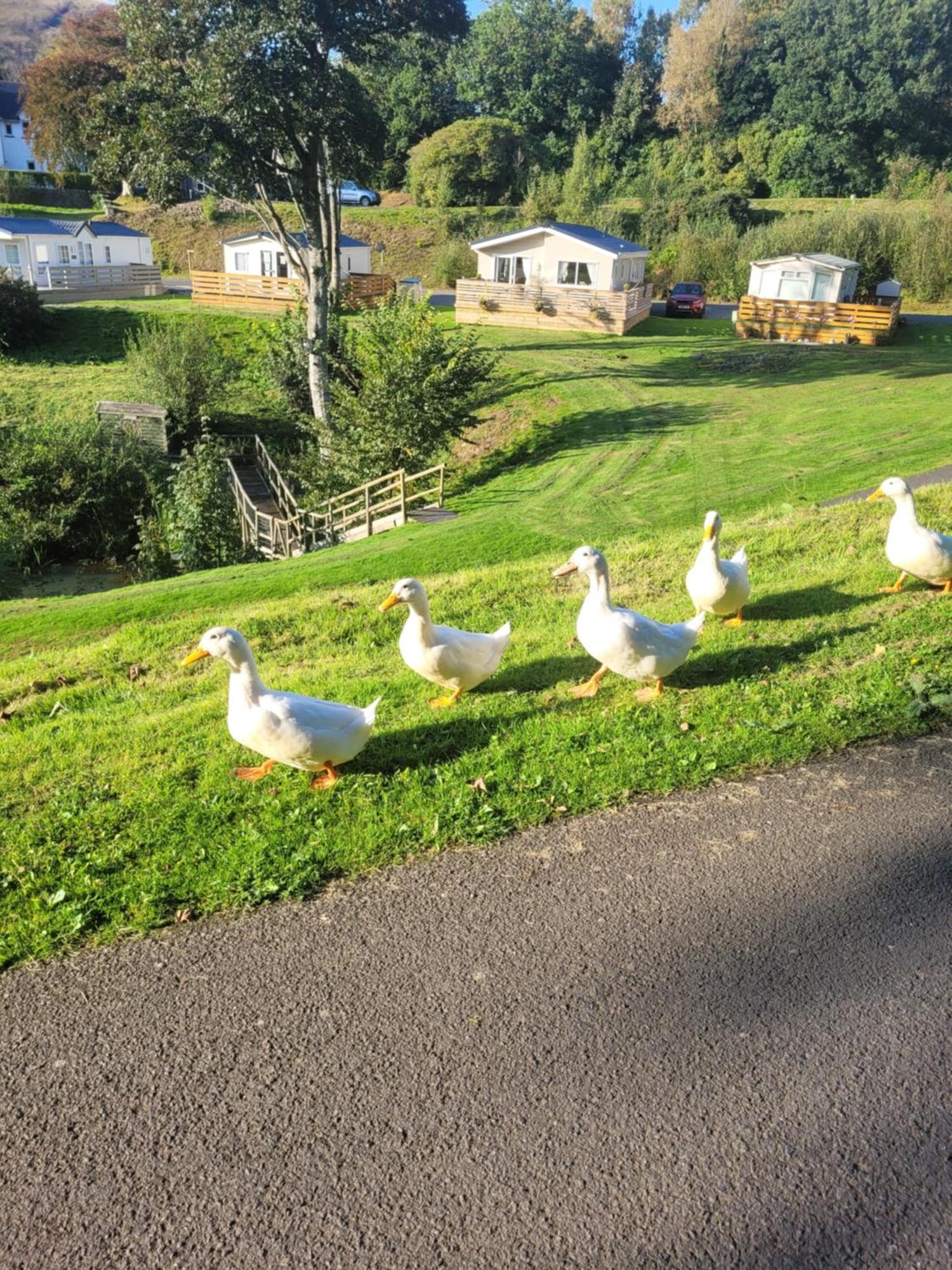 The Sunny Bunny Holiday Home Ballantrae Εξωτερικό φωτογραφία