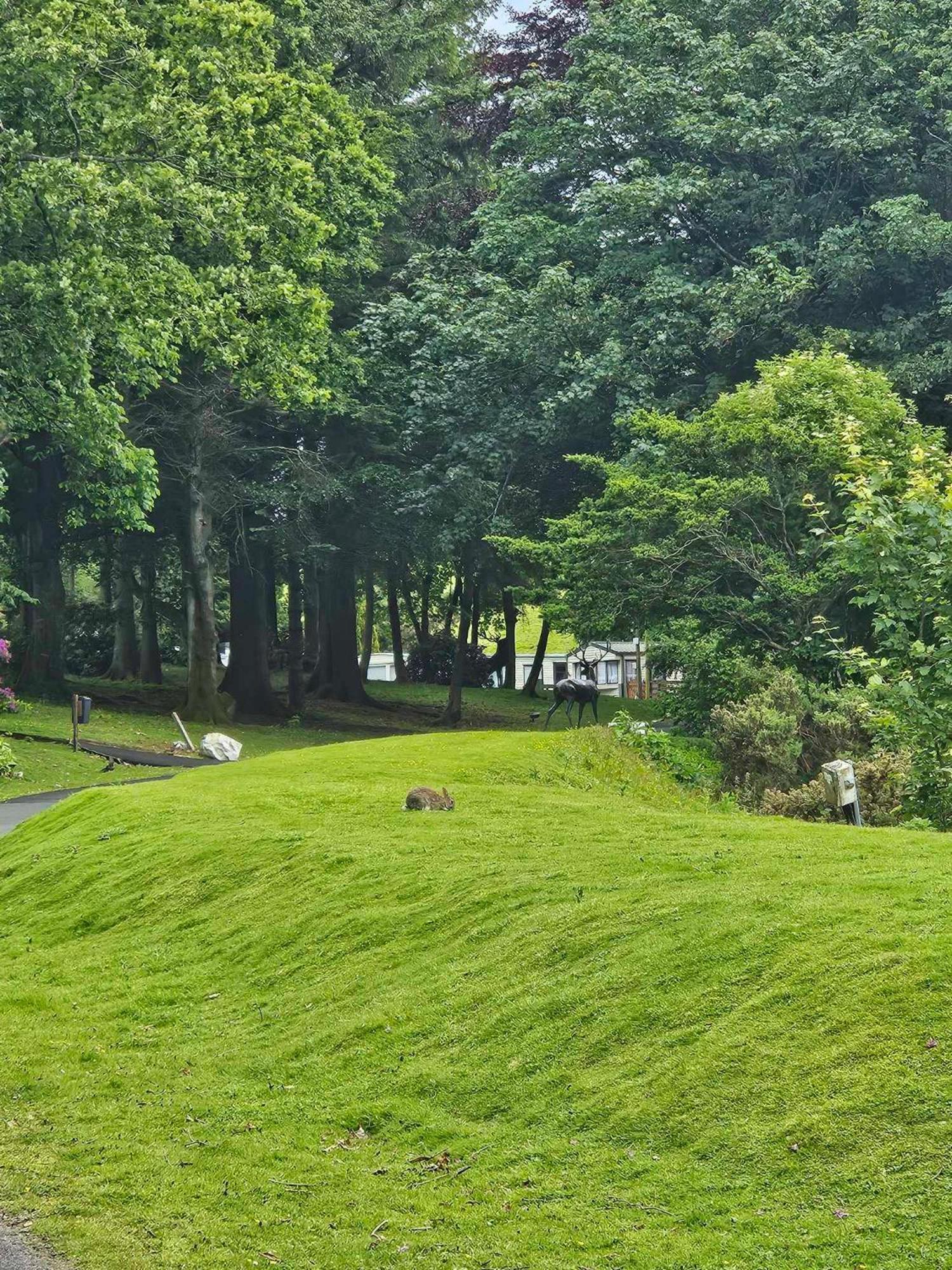 The Sunny Bunny Holiday Home Ballantrae Εξωτερικό φωτογραφία